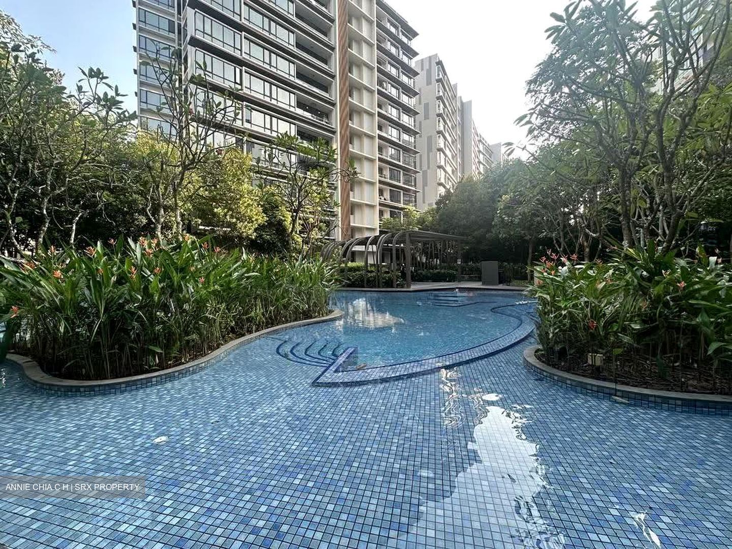 d'Nest (D18), Condominium #610991361